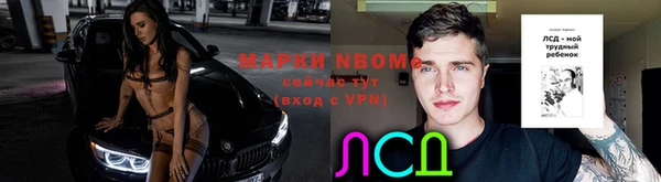 молекула духа Алексеевка