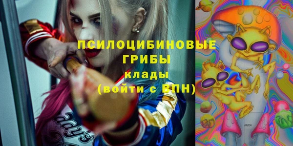 молекула духа Алексеевка