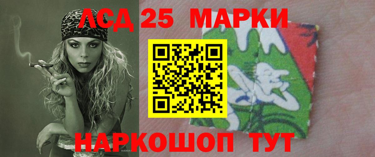 ЛСД экстази ecstasy  LSD-25 экстази  omg зеркало  Новозыбков  ЛСД экстази ecstasy  Вход с VPN 