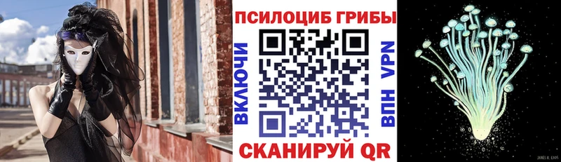 Псилоцибиновые грибы мухоморы  Новозыбков 