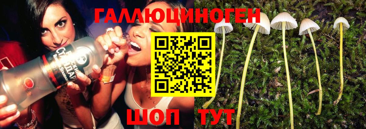 Галлюциногенные грибы мицелий Новозыбков